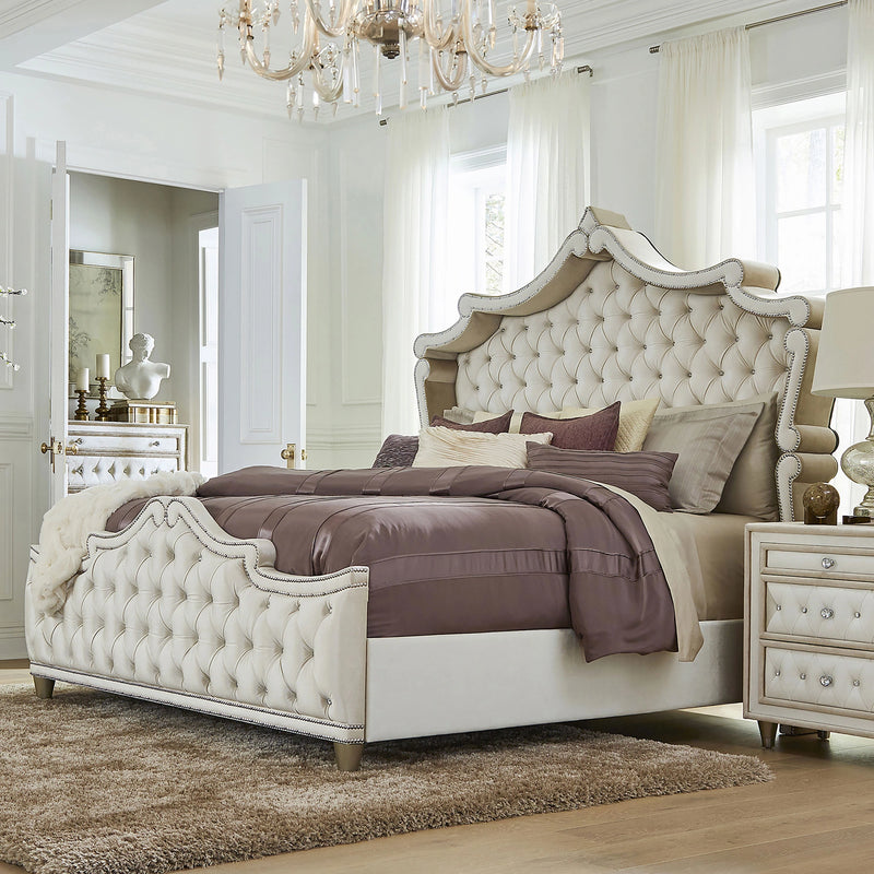 Antonella Panel Bed